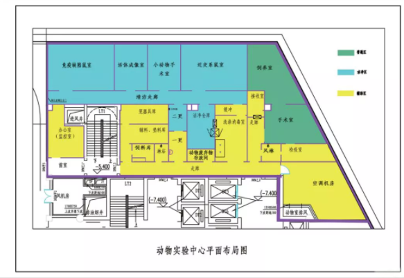 动物实验室.png